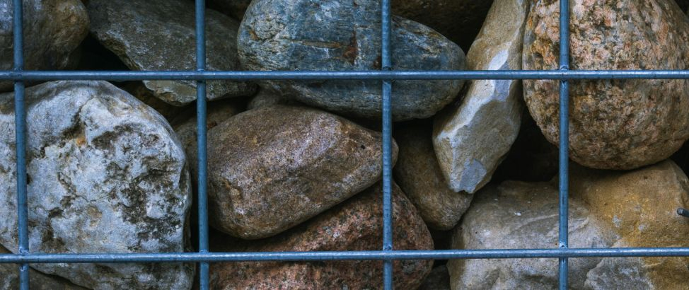 Hochbeet pflegen: Praktische Tipps für jahrelange Gartenfreude