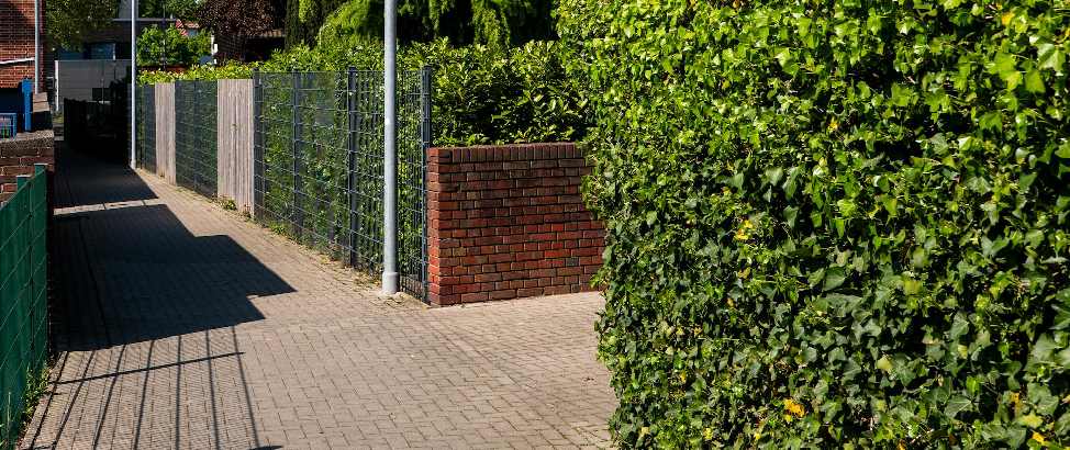 Ein Metallzaun kombiniert mit einer Hecke als Grundstücksabgrenzung.