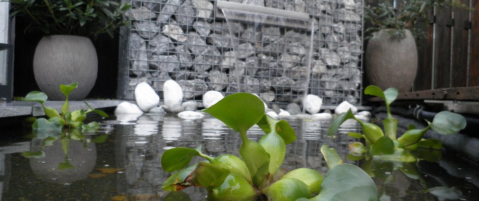 Gabionen-Wasserfall am Gartenteich mit Wasserpflanzen und weißen Ziersteinen
